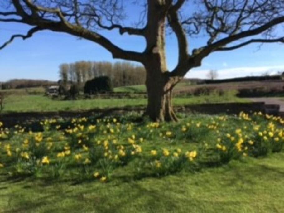 Courtside Barn, Lynn, Newport Βίλα Νιούπορτ Εξωτερικό φωτογραφία